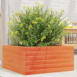 Jardini&egrave;re cire marron 50x50x23 cm bois de pin massif