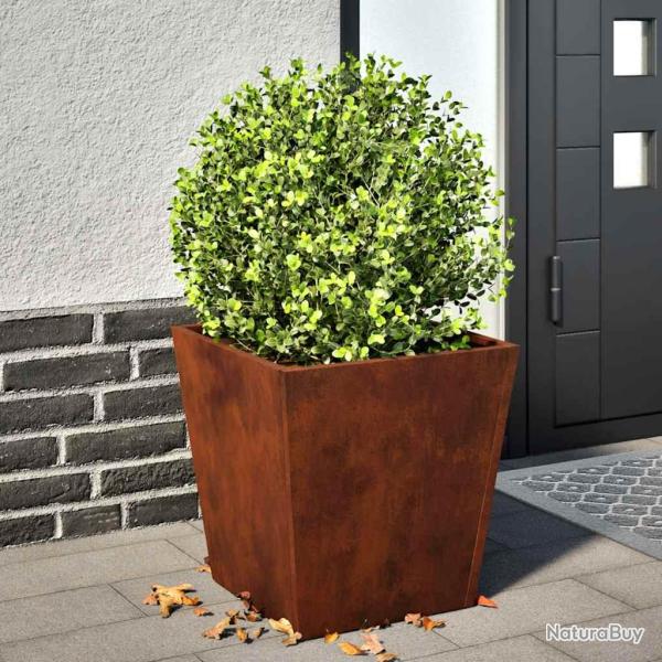 Jardini�res 2 pcs 40x40x40 cm acier r�sistant aux intemp�ries