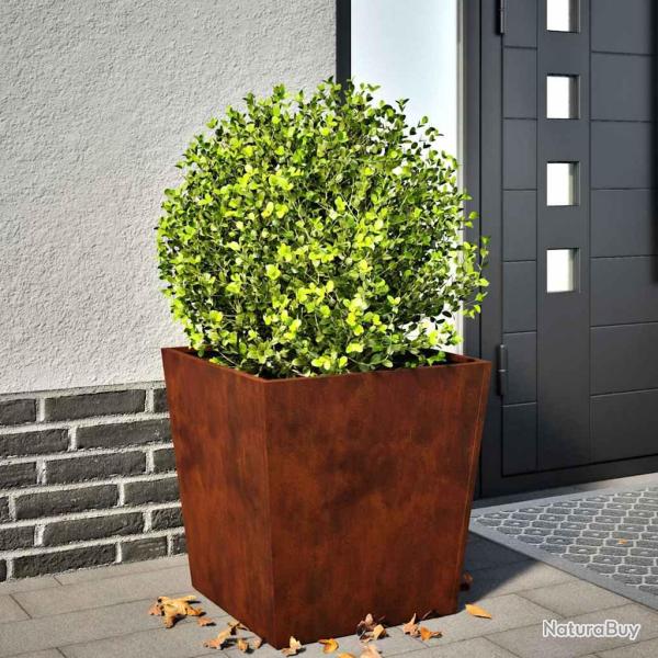 Jardini�res 2 pcs 50x50x50 cm acier r�sistant aux intemp�ries