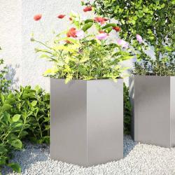 Jardini&egrave;res 2 pcs hexagone 46x40x45 cm acier inoxydable