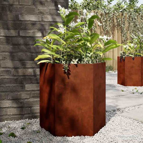 Jardini�res 2 pcs hexagone 46x40x45 cm acier patinable
