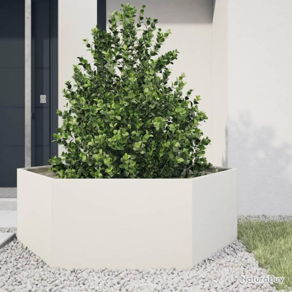 Jardini�re blanc hexagone 138x120x45 cm acier
