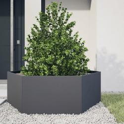 Jardini&egrave;re anthracite hexagone 138x120x45 cm acier