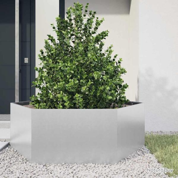 Jardini�re hexagone 138x120x45 cm acier galvanis�