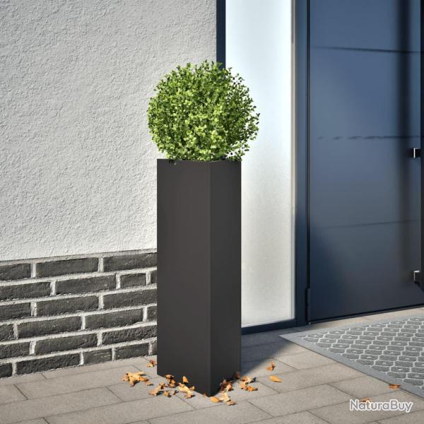 Jardini�re noir triangulaire 30x26x75 cm acier