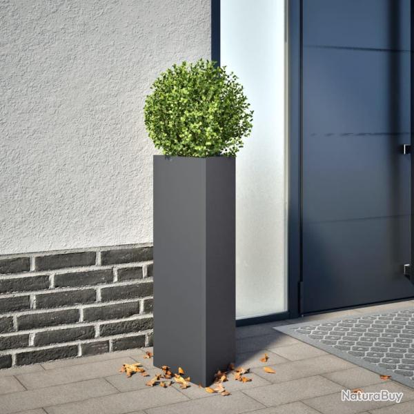 Jardini�res 2 pcs anthracite triangulaire 30x26x75 cm acier