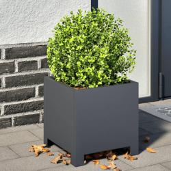 Jardini&egrave;res 2 pcs anthracite 30x30x30 cm acier
