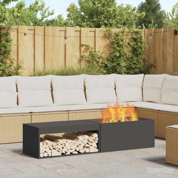 Boule de feu Noir 160 x 45 x 35 cm Acier patin�