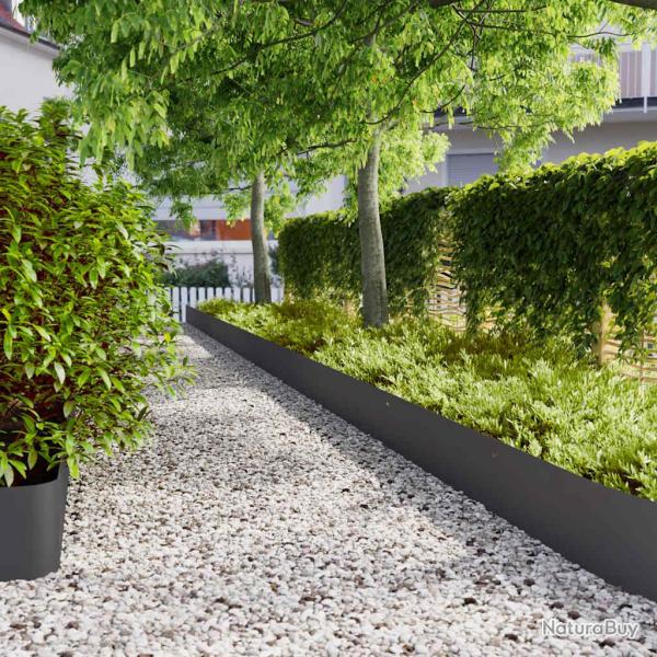 Bordure de Pelouse 20 pcs 25 x 103 cm Acier lamin� � froid Noir