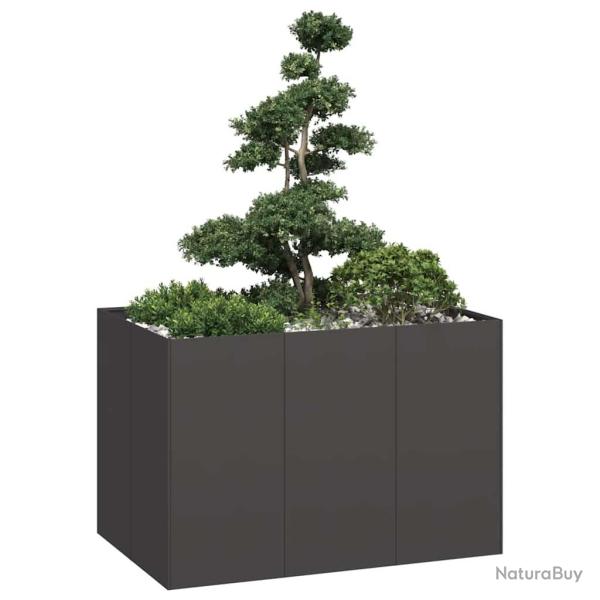 Jardini�re noir 120x80x80 cm acier