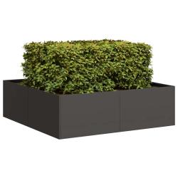 Jardini&egrave;re noir 100x100x30 cm acier