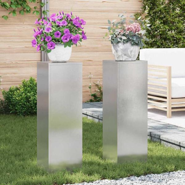 Support de Plante 2 pcs Argent 24 x 24 x 75 cm Acier inoxydable