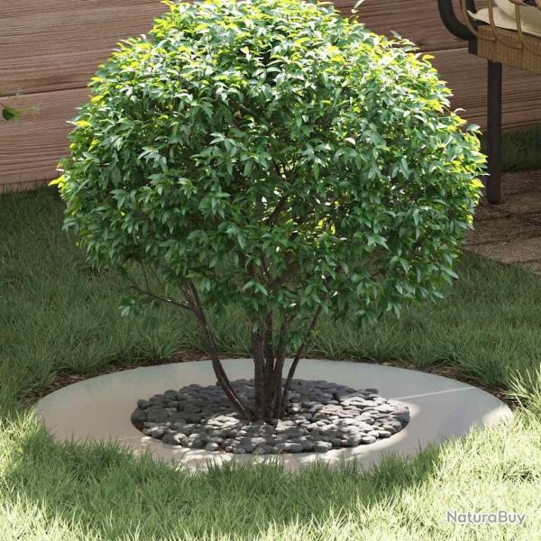 adapt� pour anneaux d'arbre plats 5 pc Argent �40/70 cm