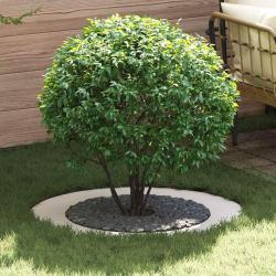 adapt&eacute; pour anneaux d'arbre plats 5 pcs Blanc &Oslash;60 / 90 cm Acier
