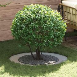 adapt&eacute; pour anneaux d'arbre plats 5 pcs Argent &Oslash;60 / 90 cm