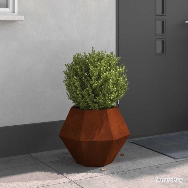 Jardini�re Rouill� 50 x 50 x 40 cm Acier patin�