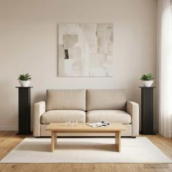 Support de Plante 2 pcs Noir 30,5 x 30 x 100,5 cm