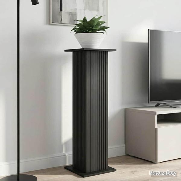 Support de Plante 2 pcs Noir 30,5 x 30 x 100,5 cm