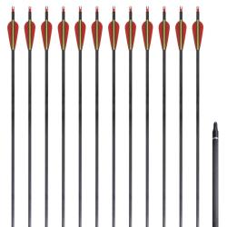 Fl&egrave;che d'arc recourb&eacute; standard 12 pcs 30" 0,76 cm carbone