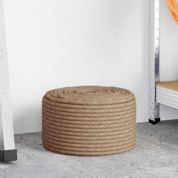 Corde 100 % jute 10 mm 100 m