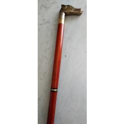 Canne &eacute;p&eacute;e