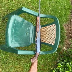 Carabine 35 whelen &agrave; pompe