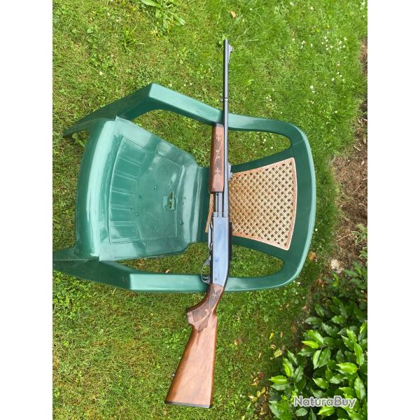 Carabine 35 whelen � pompe
