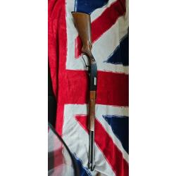 Winchester 250 22lr