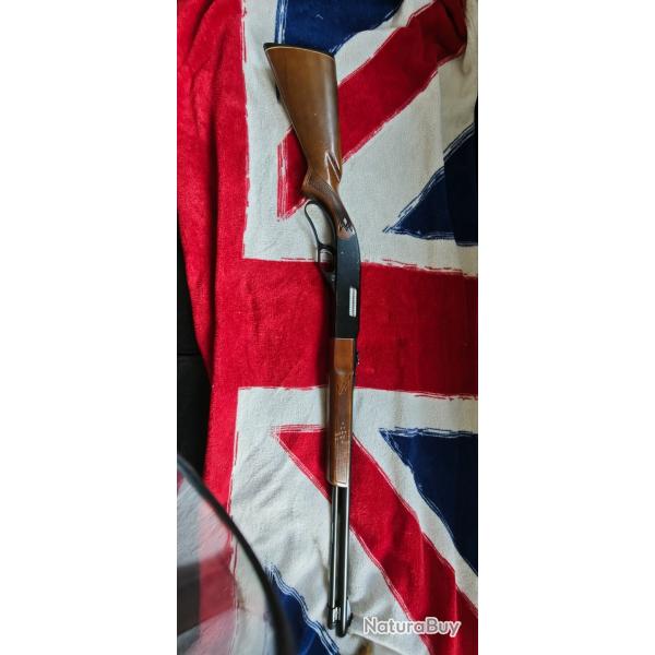 Winchester 250 22lr