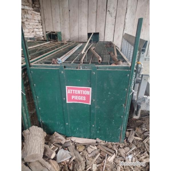 Cages � sangliers