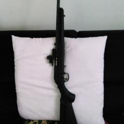 RUGER RIMFIRE 22LR