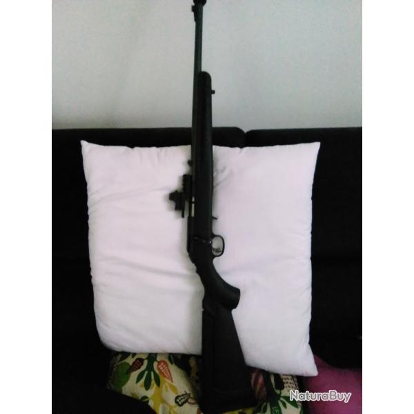 RUGER RIMFIRE 22LR