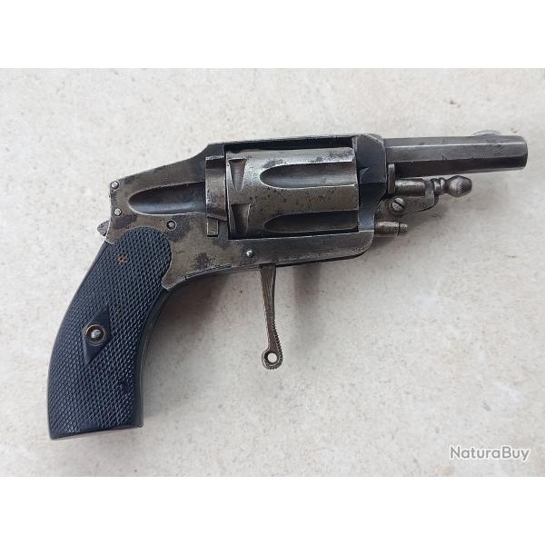 Revolver velodog