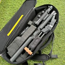 Carabine chiappa Little badger 22lr custom