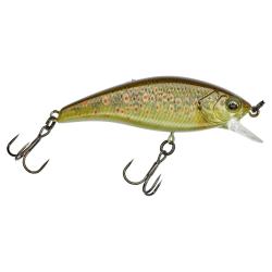 Poisson nageur ILLEX Flat tricoroll 55 S RT Truitelle