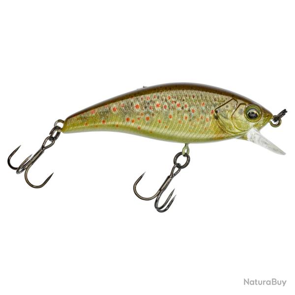 Poisson nageur ILLEX Flat tricoroll 55 S RT Truitelle
