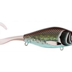 Poisson nageur CWC Guppie downsize 27