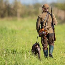 Action de Chasse Mixte et gros gibier