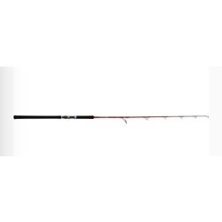 Canne tenryu tuna jig bait 1,70m/jig max 600gr