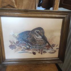 Vends deux magnifiques tableaux de chasse (chevreuil et b&eacute;casse) signer