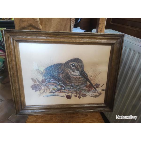Vends deux magnifiques tableaux de chasse (chevreuil et b�casse) signer