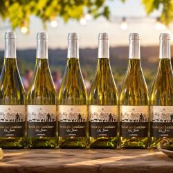 6 bouteilles de vin blanc "rurale par excellence" , AOP Minervois, mill&eacute;sime 2025