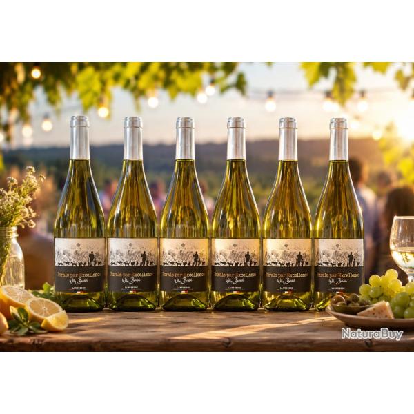 6 bouteilles de vin blanc "rurale par excellence" , AOP Minervois, mill�sime 2025