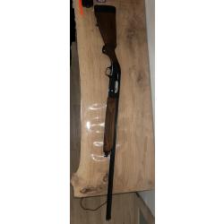 Beretta 301 calibre 12/70