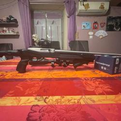 Pack Ruger 10/22 inox fab d&eacute;fense +archangel optique point rouge silencieux chargeur neuf