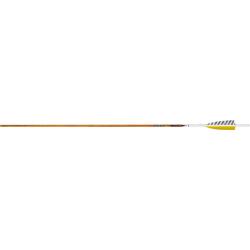 Lot de 12 tubes Easton Legacy en carbone 500