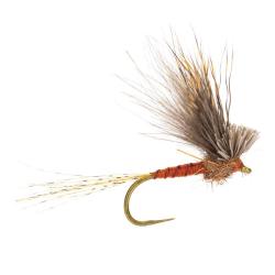 Mouche AB FLY &Eacute;mergentes ECDYOPUNK RO H12
