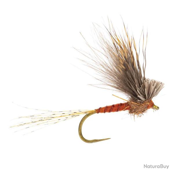 Mouche AB FLY �mergentes ECDYOPUNK RO H14