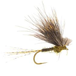 Mouche AB FLY &Eacute;mergentes ECDYOPUNK OL H12