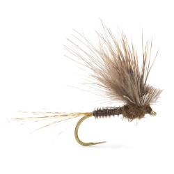 Mouche AB FLY &Eacute;mergentes ECDYOPUNK M H14